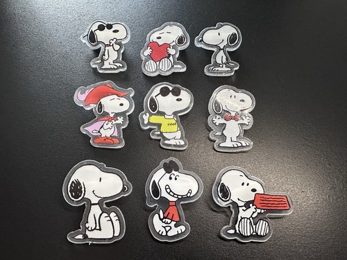 Snoopy acrylic pin - 9, badges